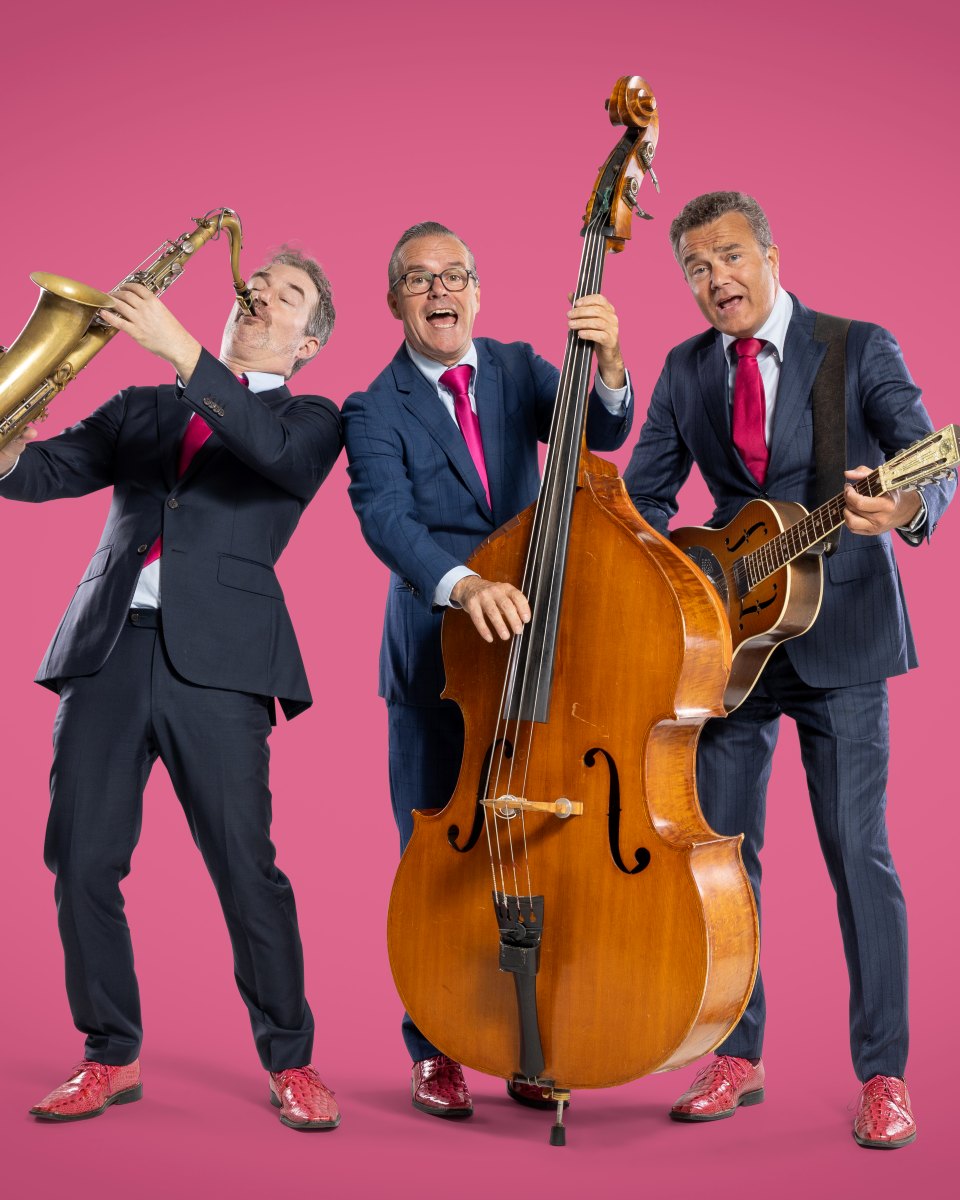 Het akoestische trio De Flamingo’s