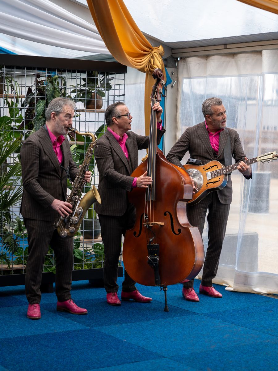 De Flamingo's
